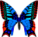 butterfly wings