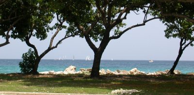 Barbados sea scene