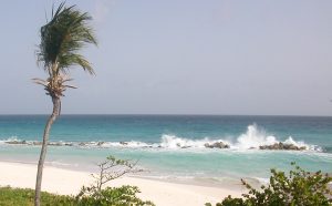 Barbados waves