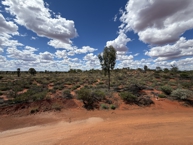 Australian outback
