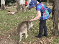 kangaroo